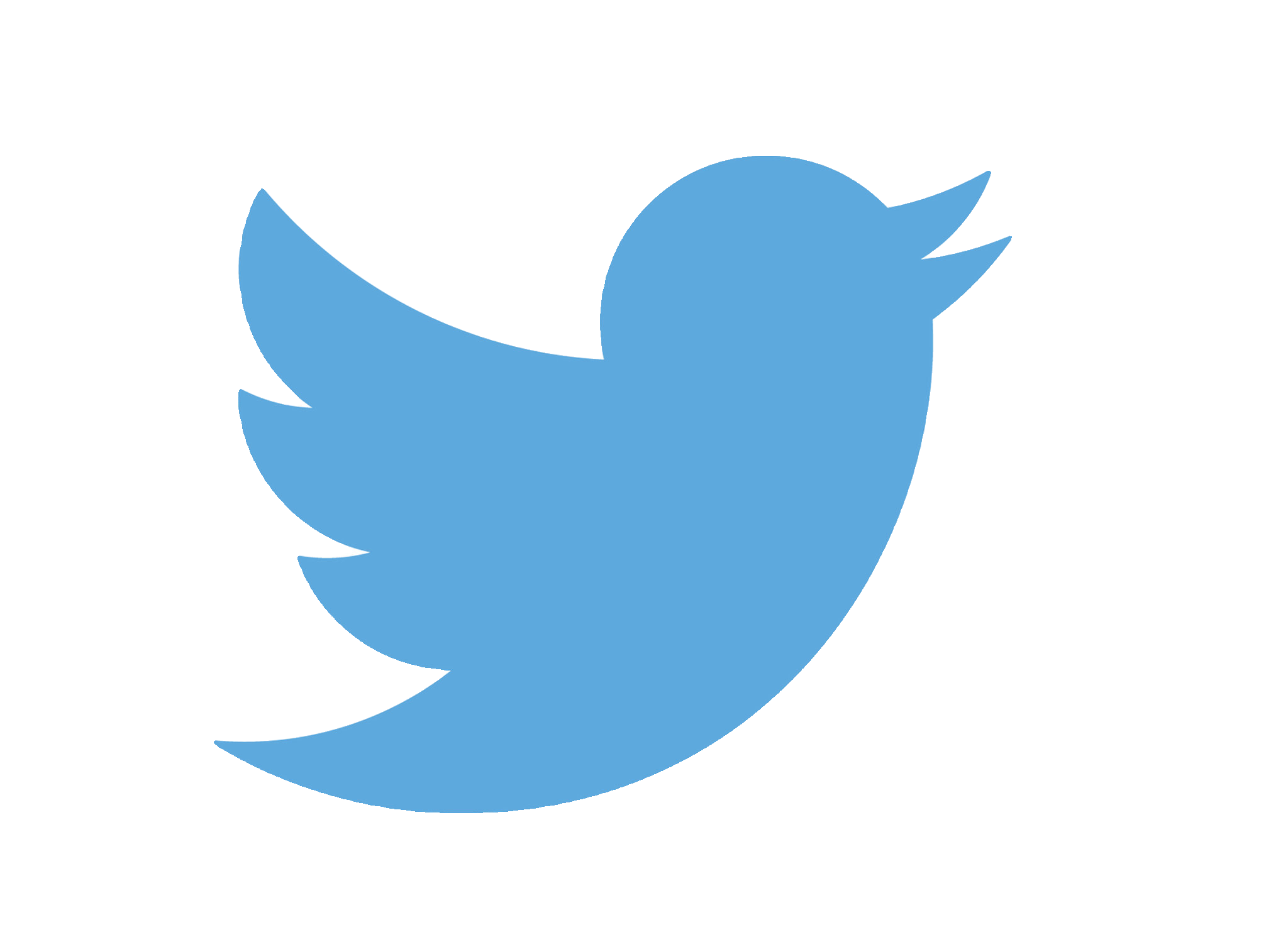 twitter logo